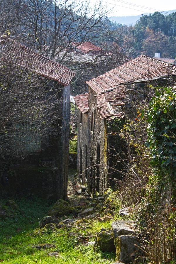 Villa Casa Do Coentral A Sua Casa Rustica Lousã Exterior foto